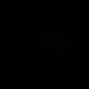 Meet your Posher, Karmela